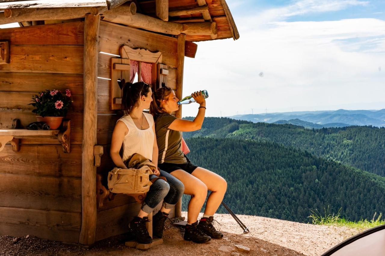 Ferienwohnung Mit Komfort Oberharmersbach Luaran gambar