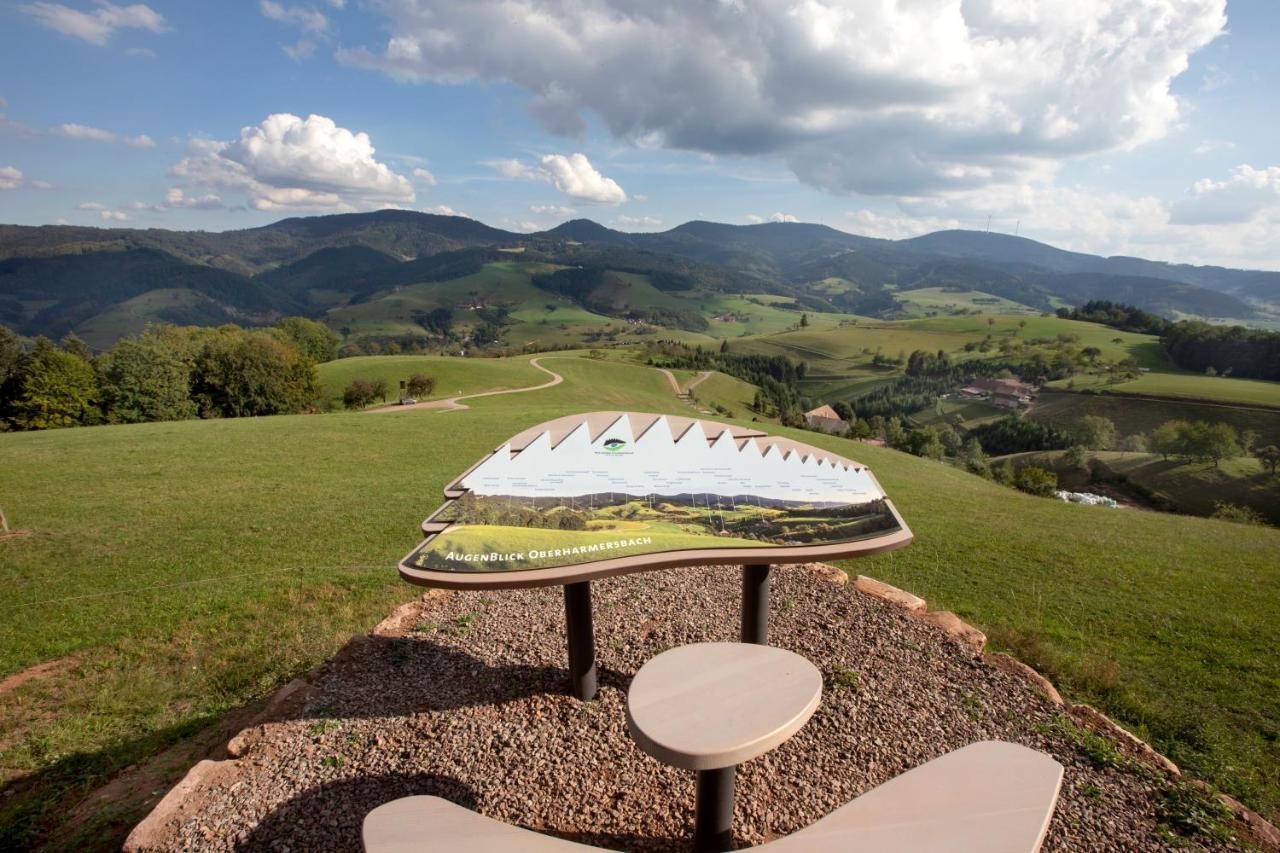 Ferienwohnung Mit Komfort Oberharmersbach Luaran gambar