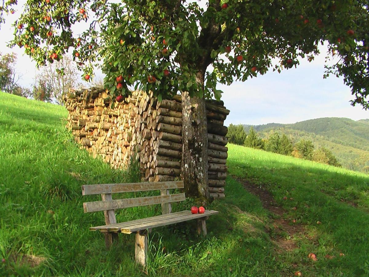 Ferienwohnung Mit Komfort Oberharmersbach Luaran gambar