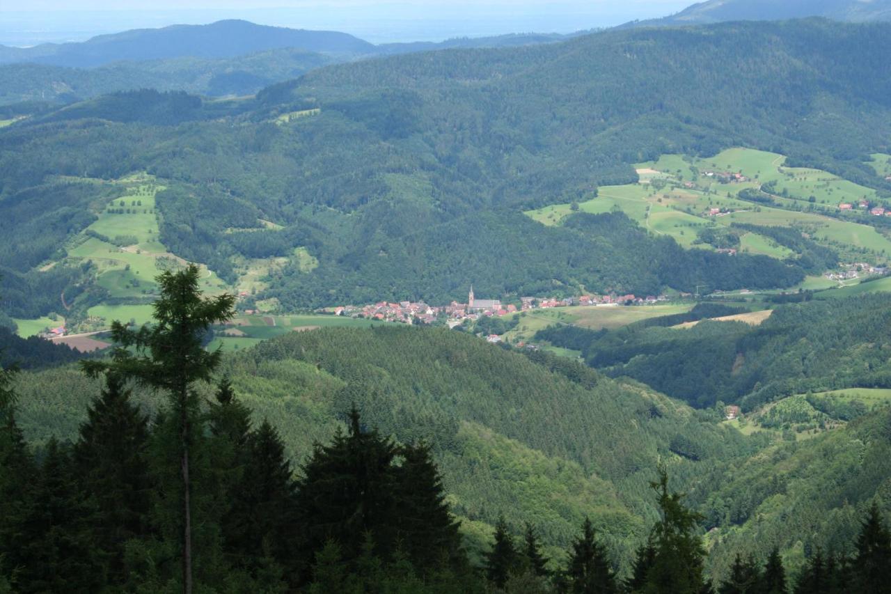 Ferienwohnung Mit Komfort Oberharmersbach Luaran gambar