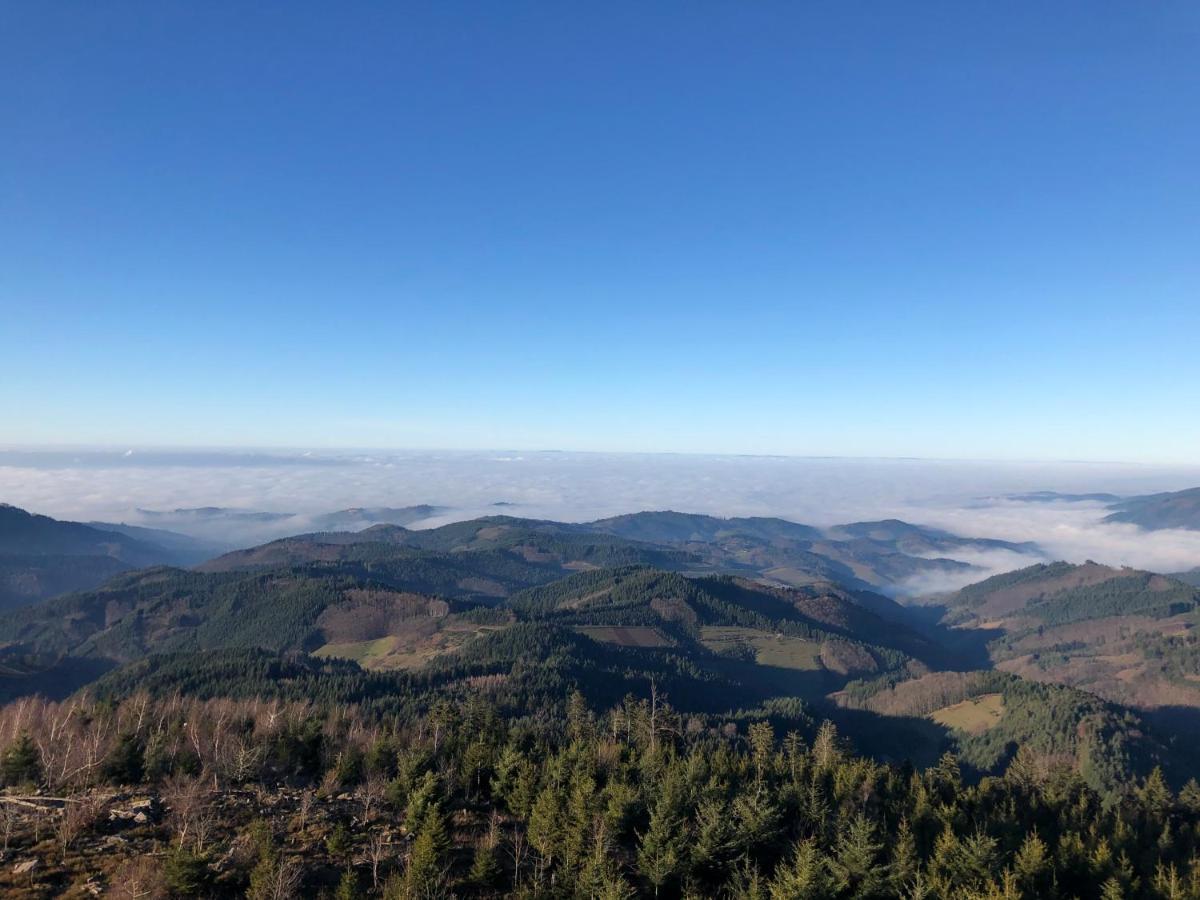 Ferienwohnung Mit Komfort Oberharmersbach Luaran gambar