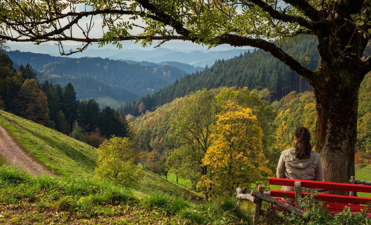 Ferienwohnung Mit Komfort Oberharmersbach Luaran gambar