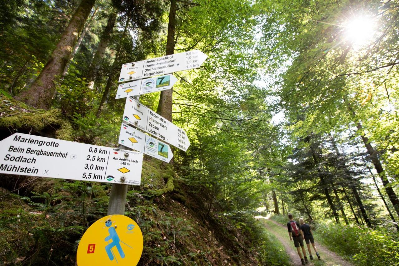 Ferienwohnung Mit Komfort Oberharmersbach Luaran gambar